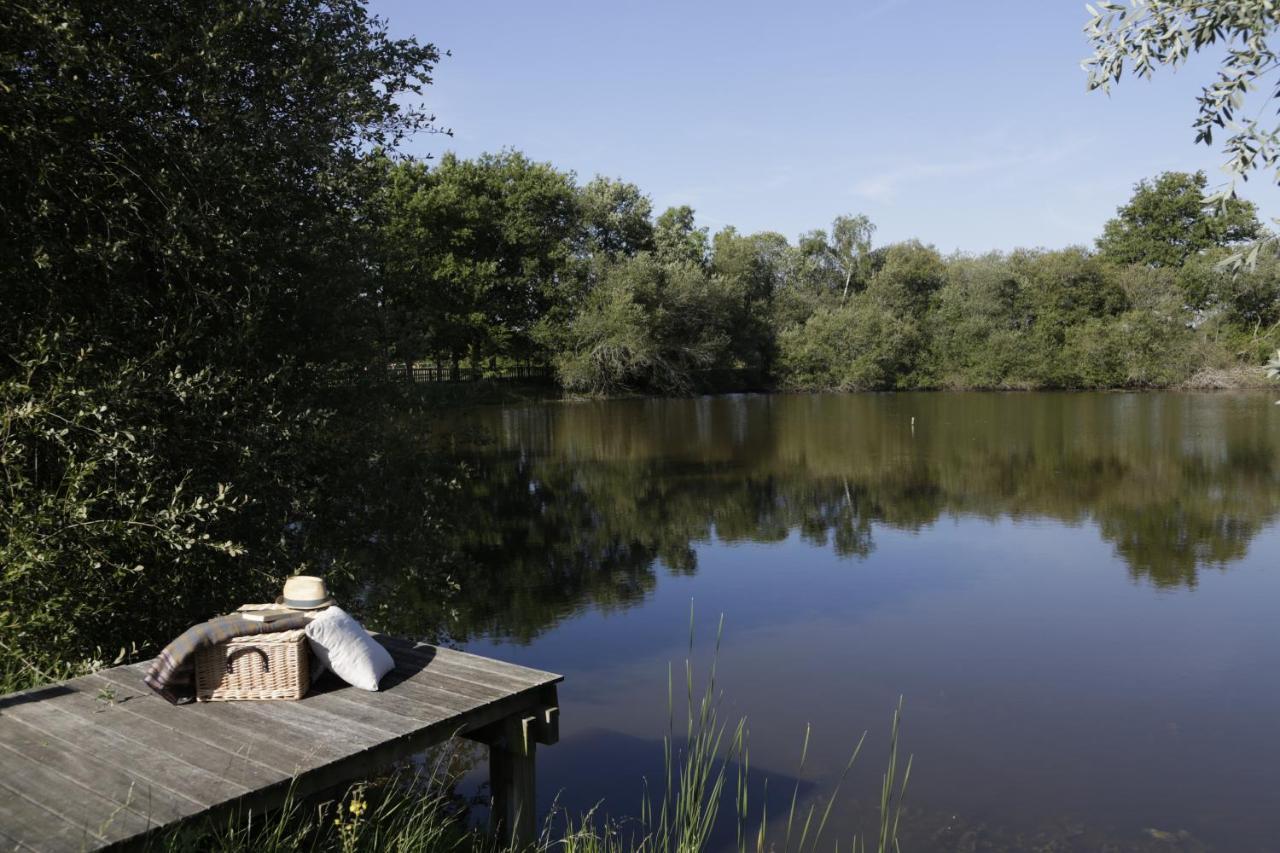 فيلا Domaine De La Trigaliere Ambillou المظهر الخارجي الصورة