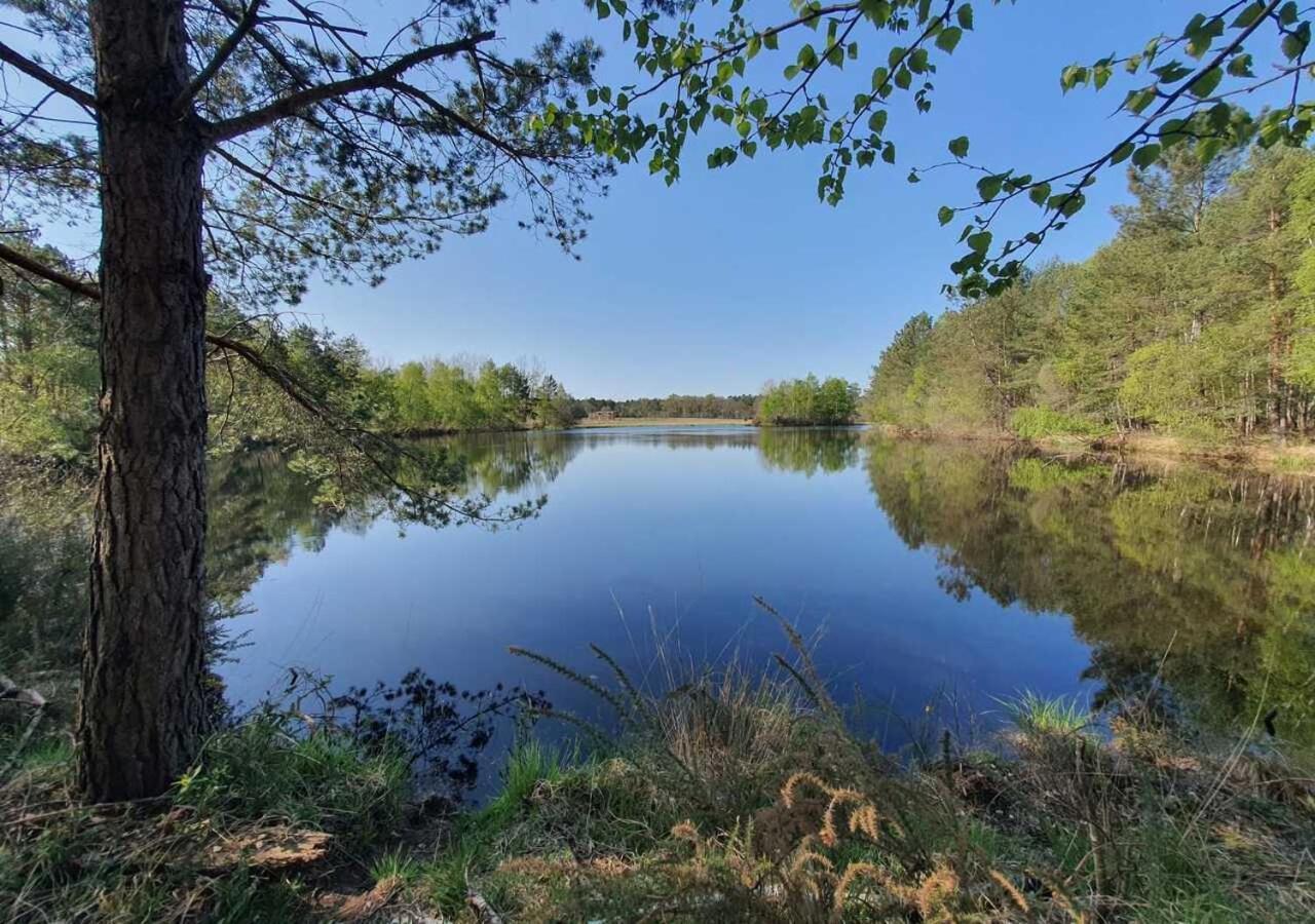 فيلا Domaine De La Trigaliere Ambillou المظهر الخارجي الصورة